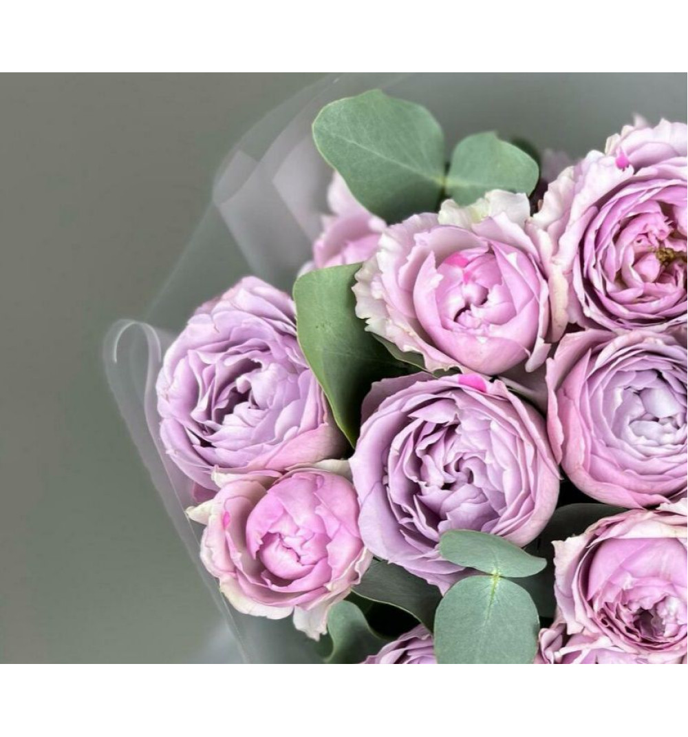 Кустовая пионовидная роза Лавандер Баблс 5шт