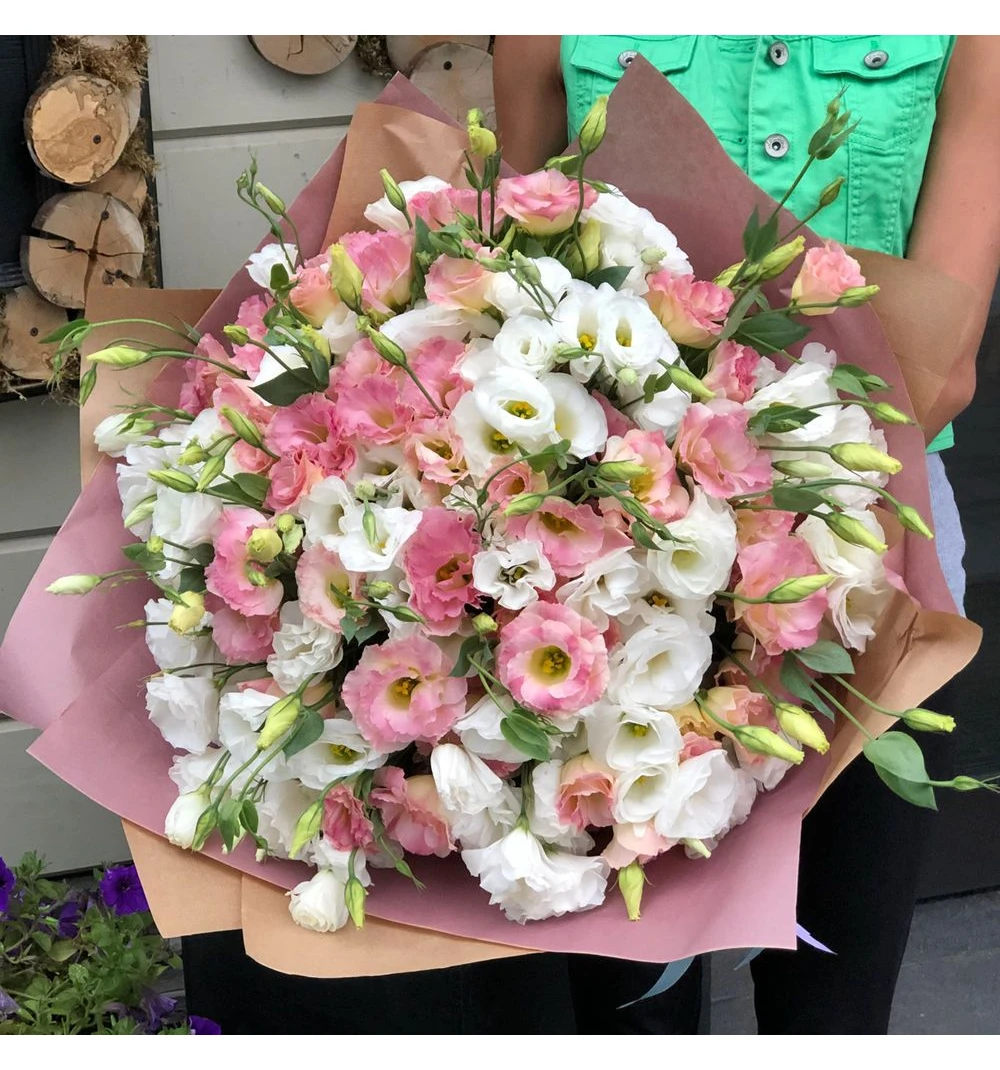 Китайская роза